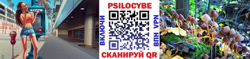 Псилоцибиновые грибы GOLDEN TEACHER  Игарка 